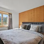 A&y Zum Goldenen Hirsch - View Kamin * Davos