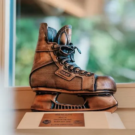 A&y Zum Goldenen Hirsch Chalet Davos